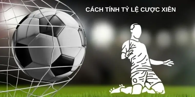 Cách Tính Tỷ Lệ Cược Xiên Hiệu Quả Cho Tân Thủ