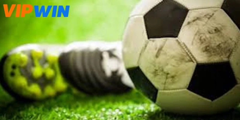 Những lưu ý cần khi chơi cá cược thể thao trên Vipwin